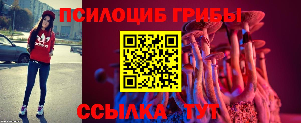 Балашов  Псилоцибиновые грибы GOLDEN TEACHER  Вход с VPN 
